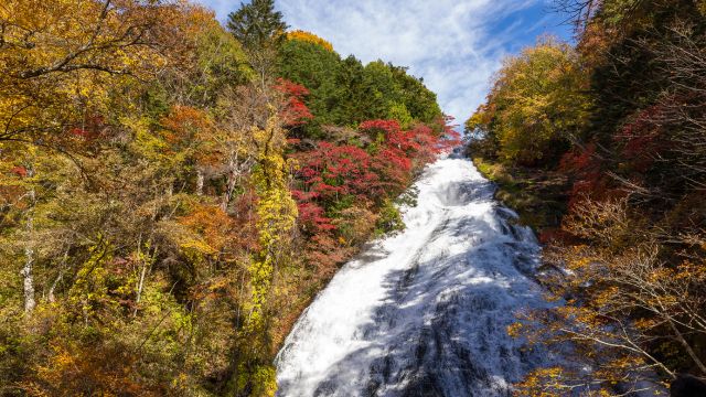 秋に行きたい一人旅スポット　栃木県の紅葉と湯滝