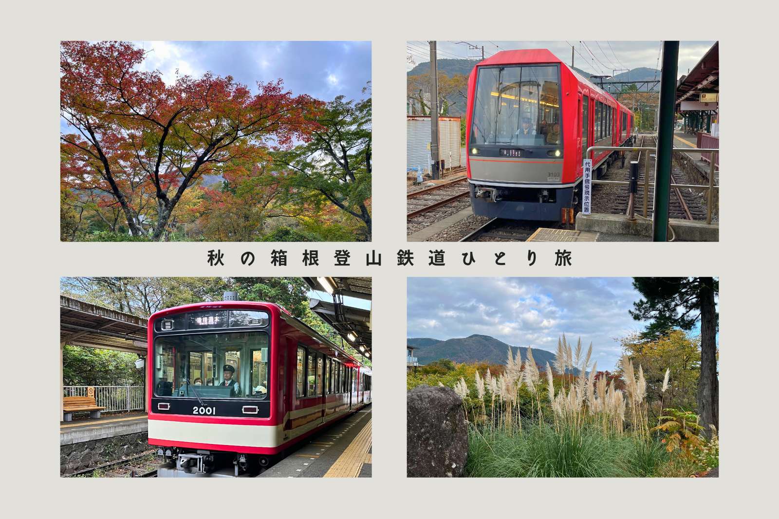 【箱根登山鉄道ぶらり途中下車の旅】秋の箱根観光モデルコース