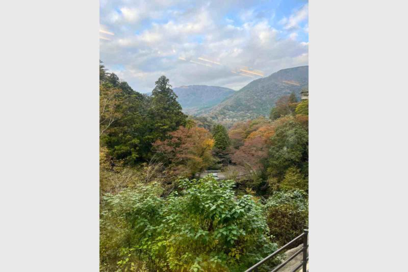 神奈川県　箱根登山鉄道　車窓