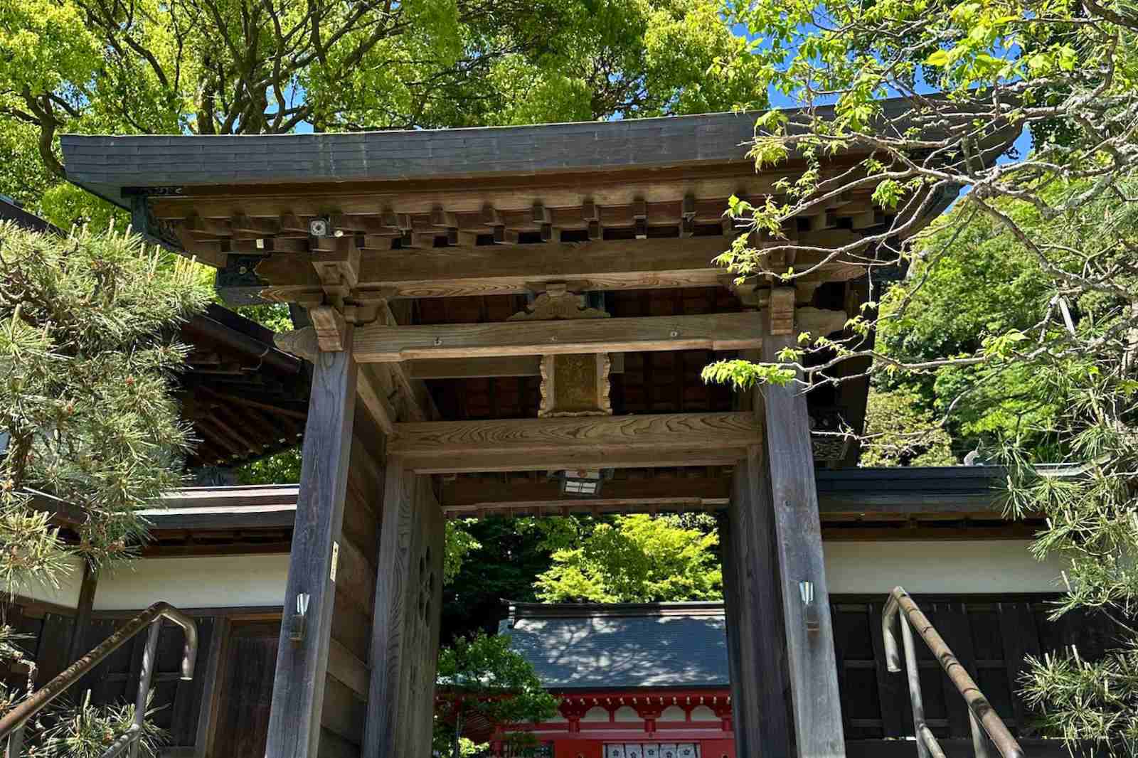 【鎌倉】今日は一人でぼーっと過ごしたい。そんな時におすすめの穴場神社