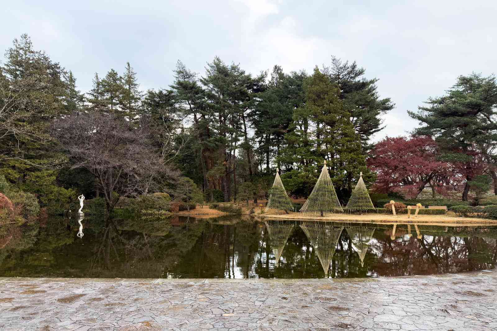 神代植物公園、池、木、空