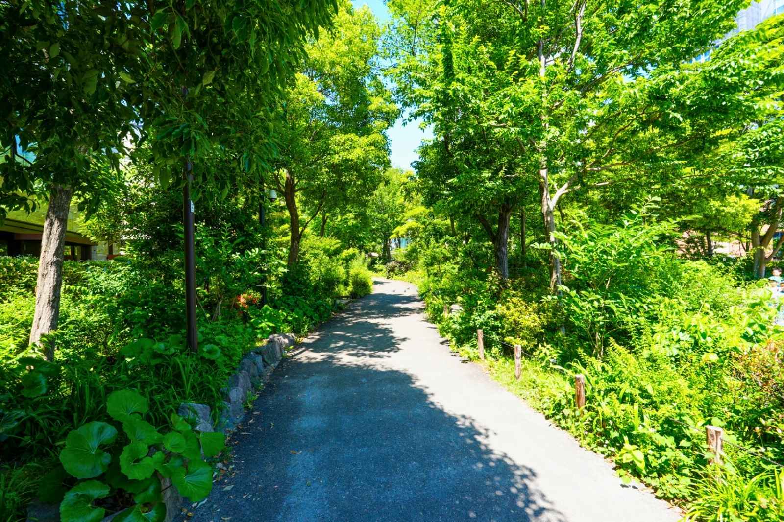 施設内を流れる小川。メダカやドジョウなど多彩な生き物が住んでいます