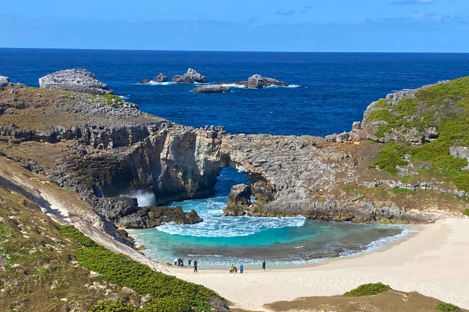 小笠原　ボニンブルー