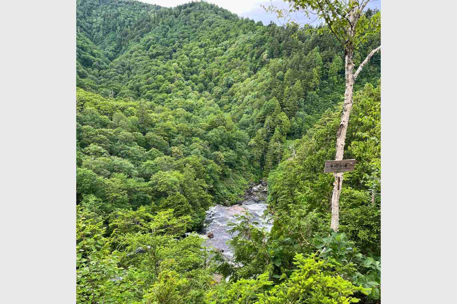 尾瀬　木々の間から見える平滑ノ滝の一部