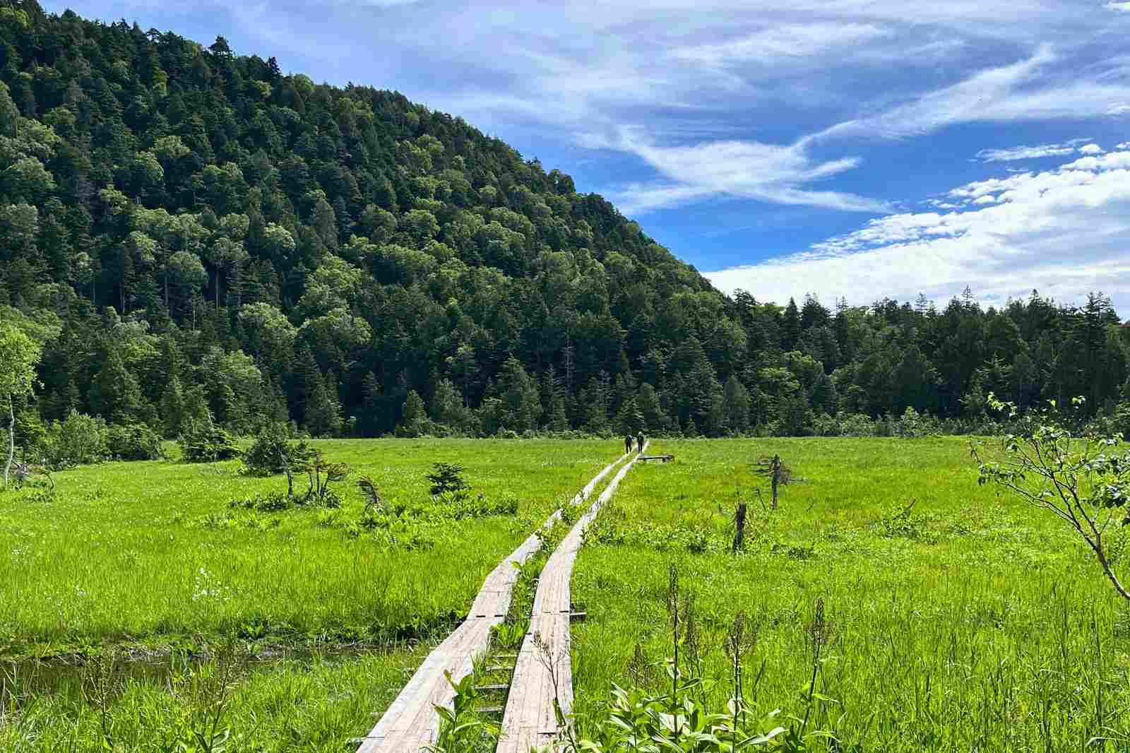 尾瀬の朝の風景