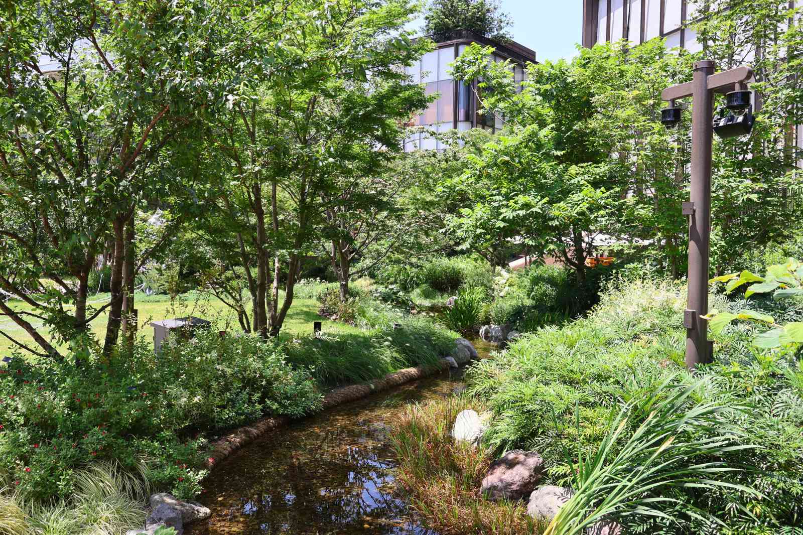 麻布台ヒルズ　緑豊かな敷地　水辺