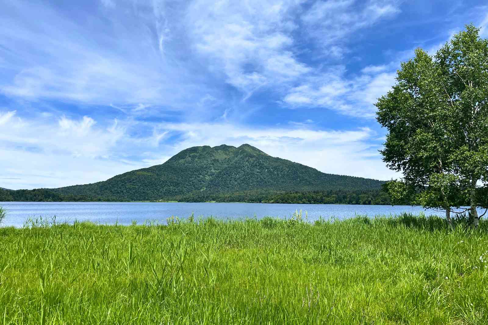 尾瀬沼を背景にした燧ケ岳の撮影ポイント