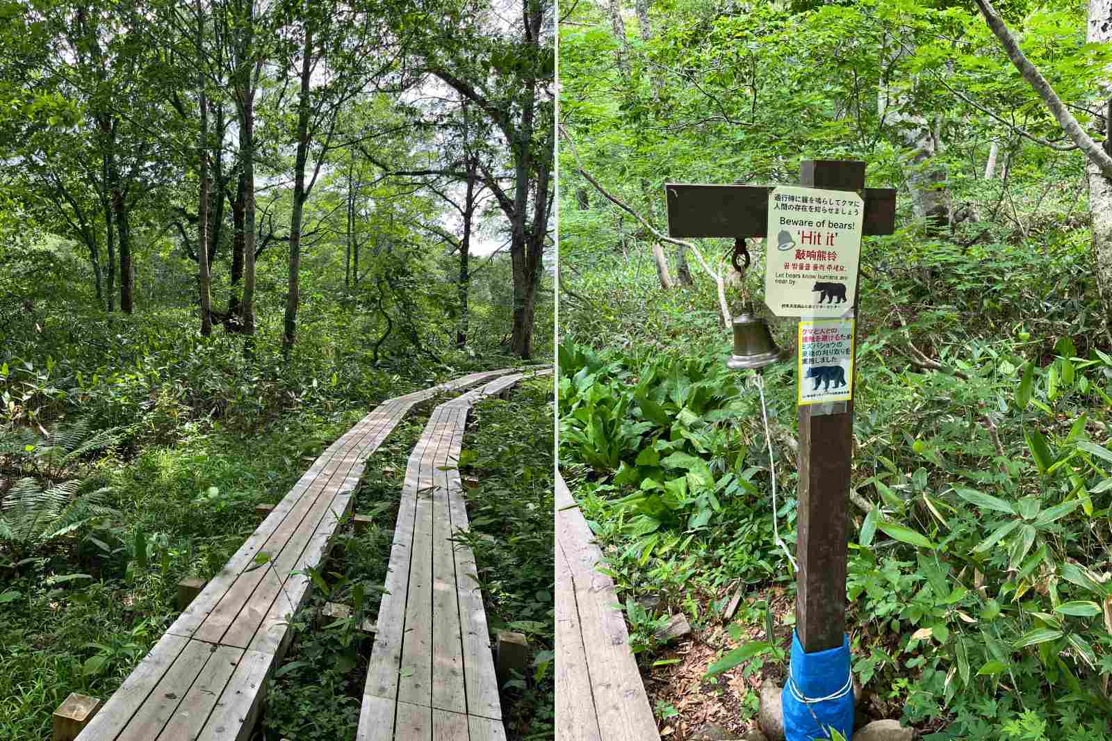 木道沿いにある熊よけの鐘