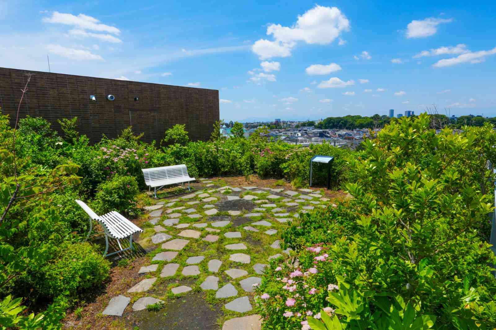 JIYUGAOKA de aoneの屋上harappa