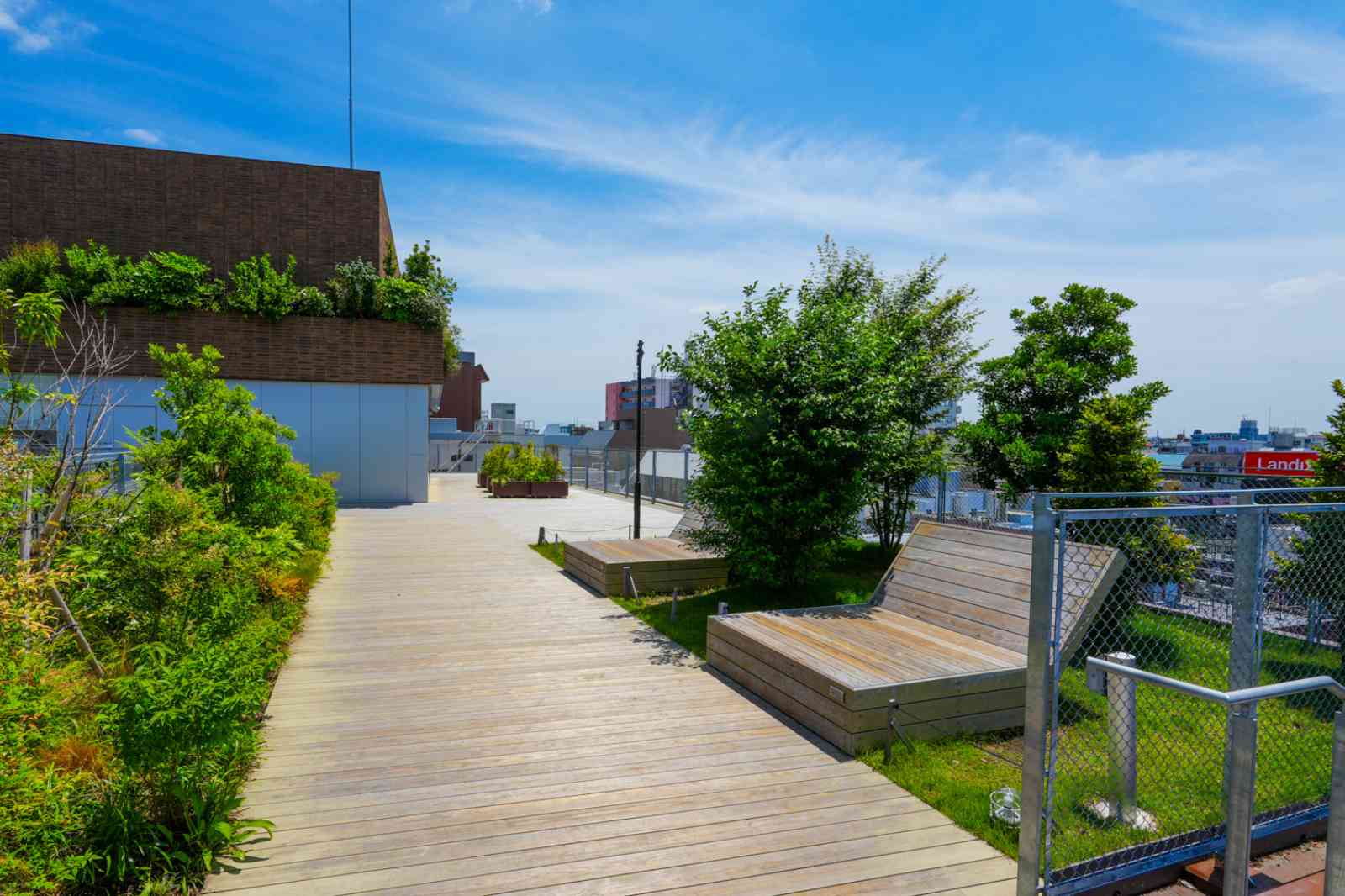 JIYUGAOKA de aoneの屋上harappa