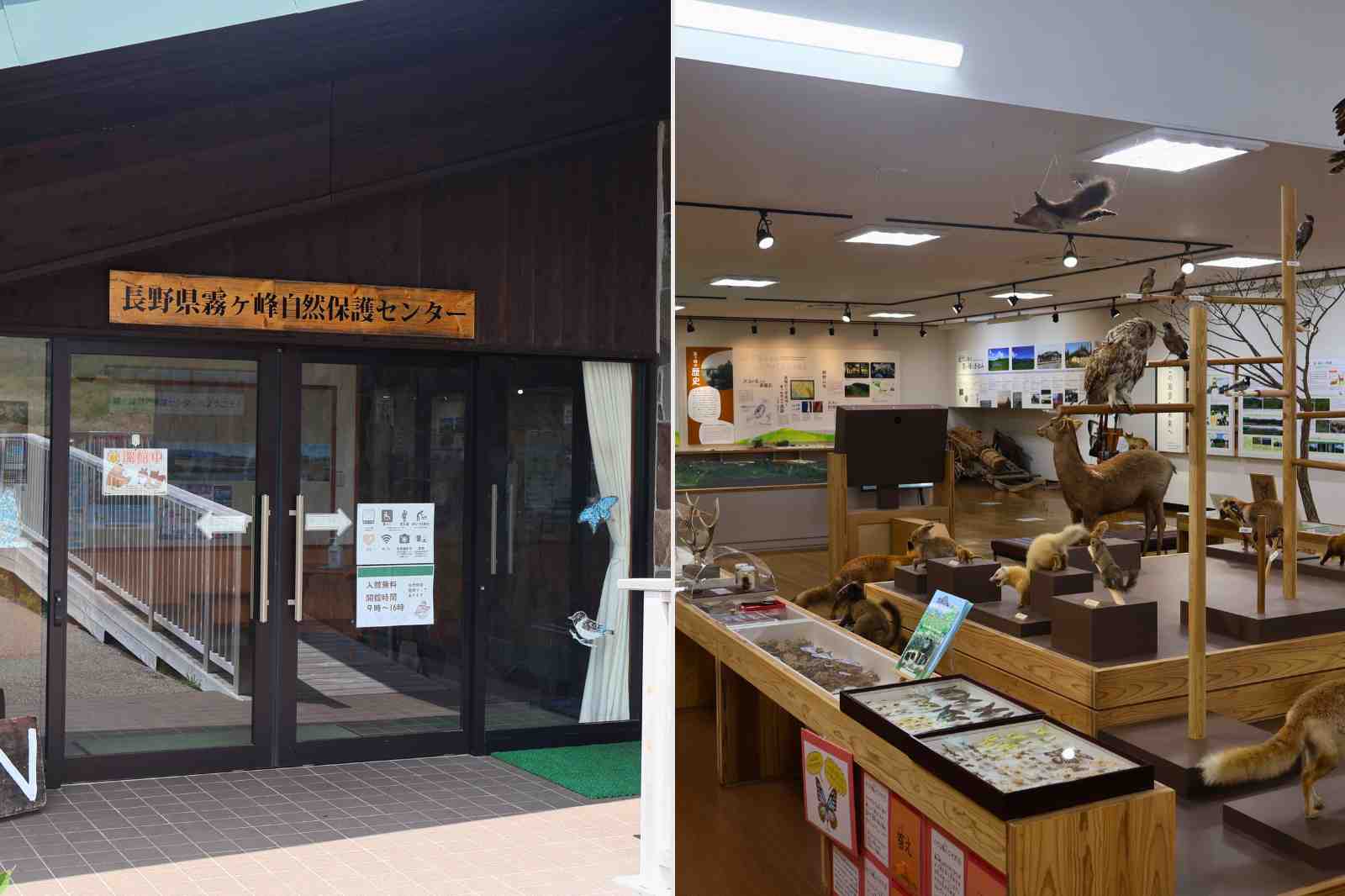 霧ヶ峰自然保護センター