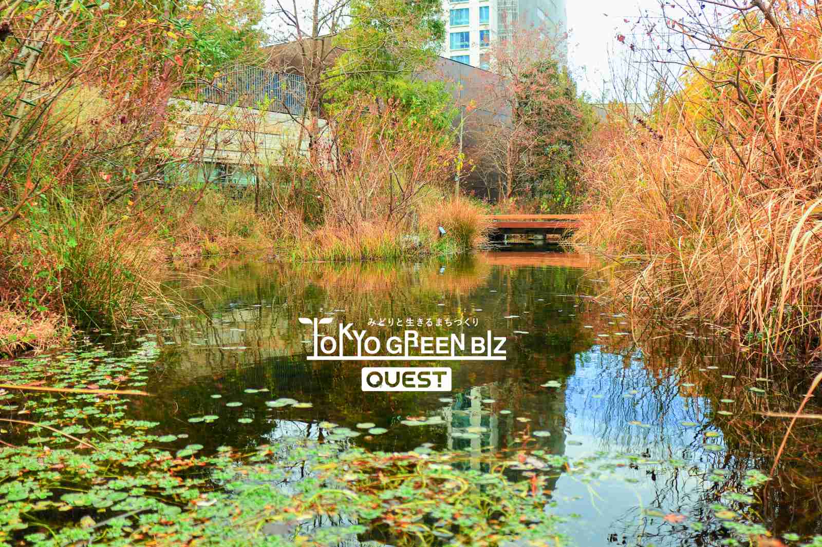 東京グリーンビズ・クエスト