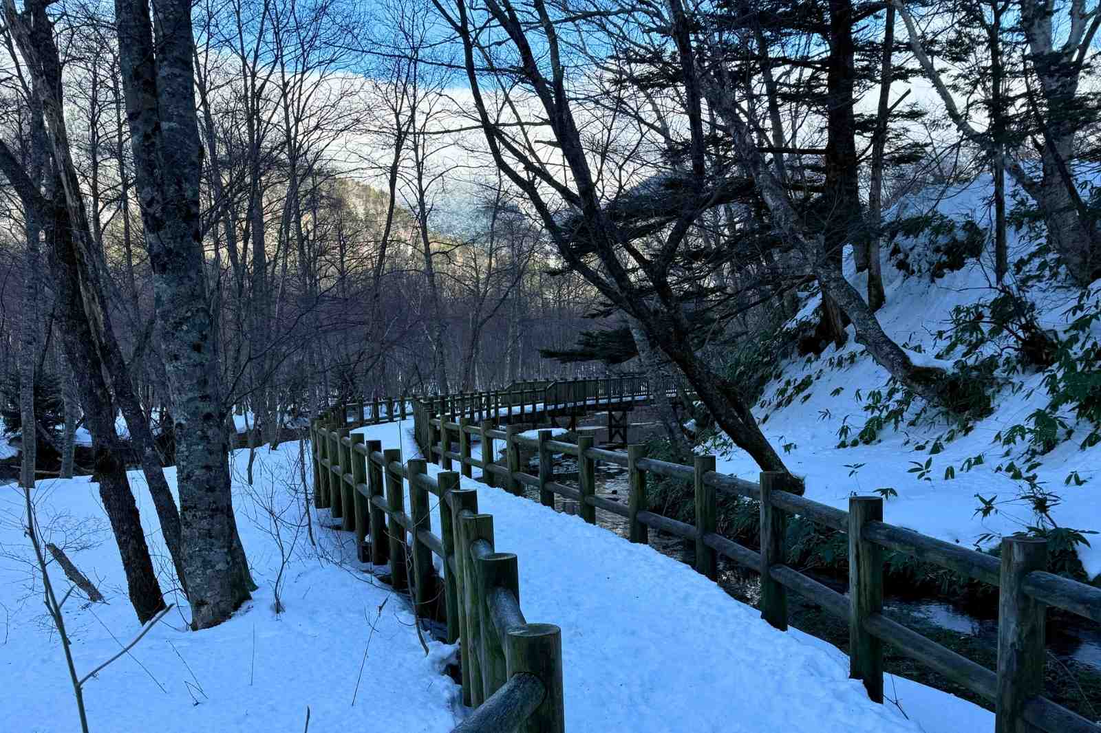 上高地の遊歩道　雪